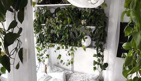 Hanging Plants Bedroom Decor