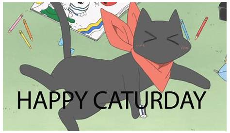 Happy Caturday - Free animated GIF - PicMix