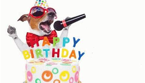 Dog Birthday GIFs - Get the best GIF on GIPHY