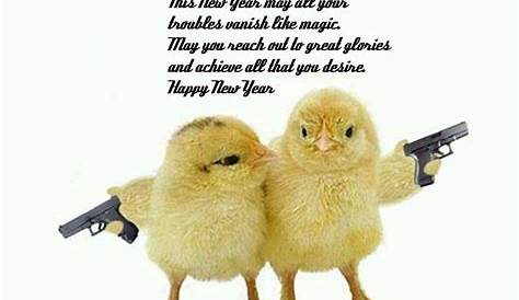 Happy New Year Funny Wishes For Friend