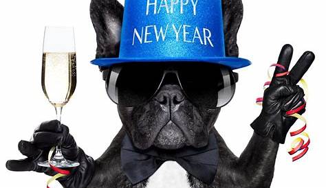 Happy New Year In Dog Language