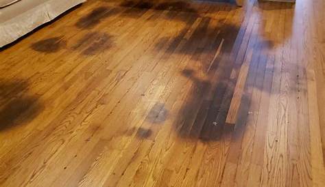 Can pet stains be sanded out of hardwood floors? How To Sand A Floor