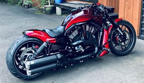 Harley Davidson Custom V Rod Price
