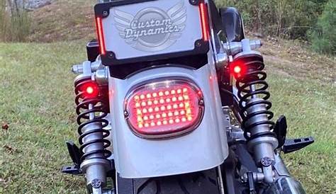 Rear Led Brake Light for Harley Sportster Dyna FXDL Electra Glides Road