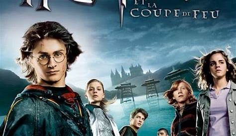 Harry Potter 1-2-3-4-5-6-7 Partie 1 et 2 [DVDRip] - Tout y est