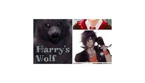 Harry Potter wolves REDO by darkwolftamer12 on DeviantArt