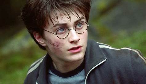 Character Profile - Harry Potter Photo (130063) - Fanpop