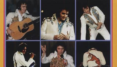 Having Fun WIth Elvis Off Stage