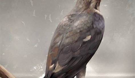 Hawk Creature by Chocorutt on DeviantArt