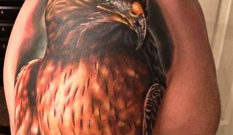Red Tailed Hawk portrait tattoo by Lila Rees | Hawk tattoo, Tattoos