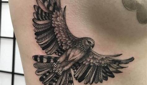 Watercolor Hawk by Kyle Lavorgna Lark Tattoo Albany NY | Lark tattoo