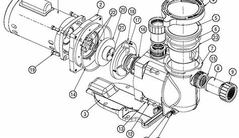 Hayward Pool Pump Motor Parts Diagram | Reviewmotors.co
