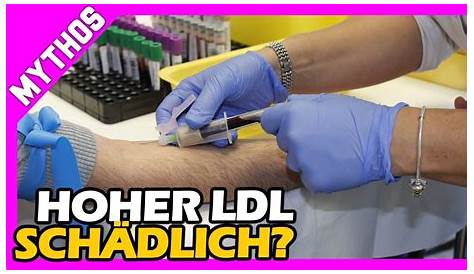 Ist HDL-Cholesterin doch nicht so gesund? - experto.de