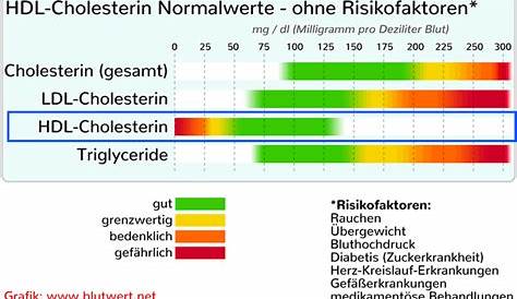 HDL-Cholesterin: Tabelle Werte & Bedeutung | praktischArzt