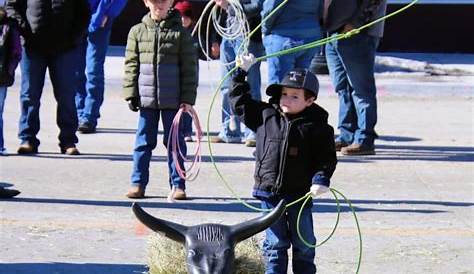 Heart City Bull Bash includes livestock show, bull exhibition, more
