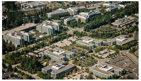 Helloworld1 Microsoft Way, Redmond. - Microsoft Hands Pink Slip To 2100