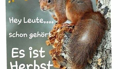 Herbst ist.. | Lustige Bilder, Sprüche, Witze, echt lustig German