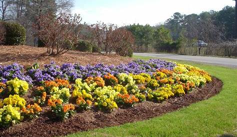 Heritage Landscaping Gilbert Sc