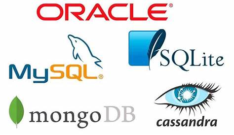 Cómo crear una base de datos MySQL | Camerdata