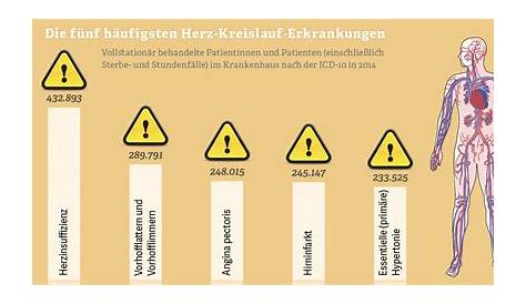 Herz-Kreislauf-Erkrankungen häufigste Todesursache in Deutschland