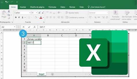 Excel básico tú primera hoja de cálculo - Excel, contabilidad y TIC