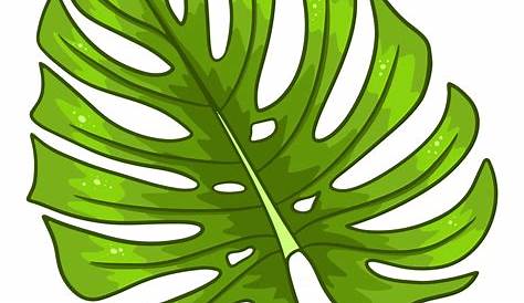 Tropical plants exotic carved green leaf in cartoon style 2517587