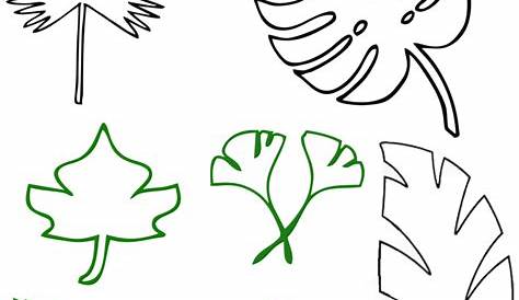 Plantas para colorear.