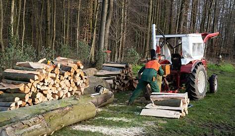 Im Wald zum Holz machen - Rockcrawler.de