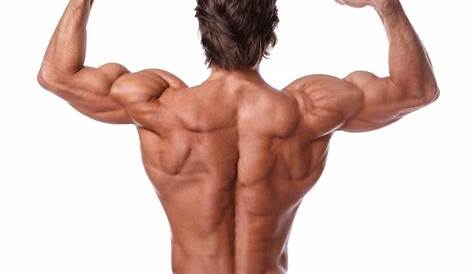 Hombre mostrando su espalda musculosa | Foto Premium
