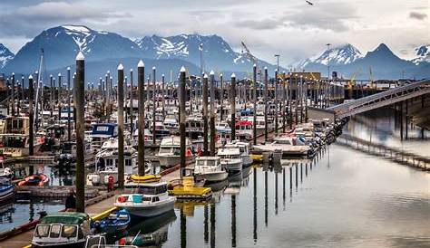 Homer, AK Real Estate - Homer Homes for Sale | realtor.com®