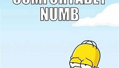 Homer Simpson says stupid things Blank Template - Imgflip