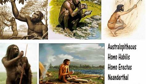 Reportajes y fotografías de Homo sapiens en National Geographic