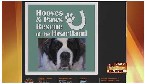 Hooves and Paws Rescue of the Heartland 2-26-15 - YouTube