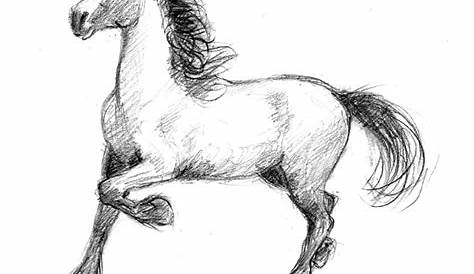 Horse Drawing Images Hd 2560x1440 Magic Moon Digital Art 1440P Resolution HD