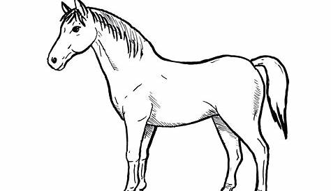 Horse Drawing Pictures To Print Wild Mustangs Coloring Pages, Wild s Mustangs