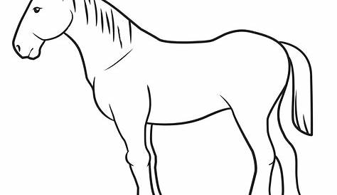 Horse Drawing Simple Easy s At Gets Free Download