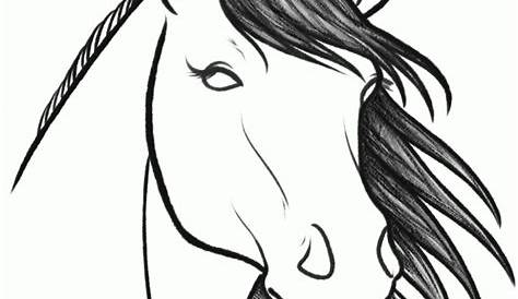 Horse Head Drawing Easy At Gets Free Download