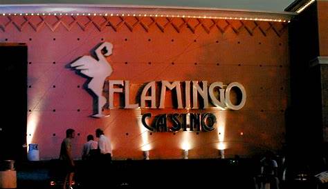 Foto de Hotel Flamingo, Merlo: Pileta - TripAdvisor