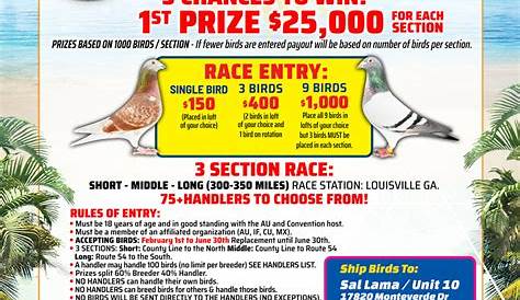 Miami International Pigeon Race 300 miles toss (350 miles) due to the