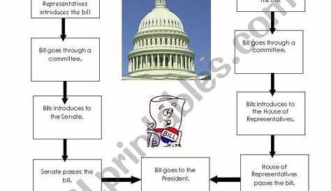 29 How A Bill A Law Worksheet Worksheet Information