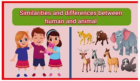 Unveiling The Astonishing Truth: Animals Vs Humans - Numbers That Will Astound You