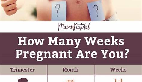 How Many Weeks Pregnant Am I Quiz Far Along ? Pregnancy Calculator