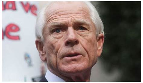 Unveiling Peter Navarro's Net Worth: Discoveries And Insights