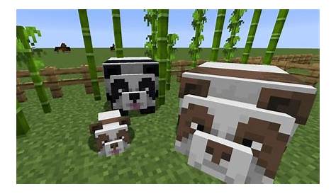 How Rare Is A Brown Panda In Minecraft