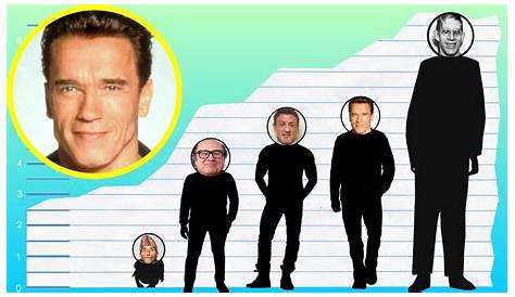 Unlock The Secrets: Discover Arnold Schwarzenegger's True Height
