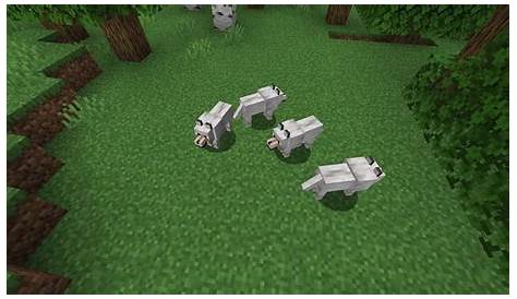 How To Breed Wolves Minecraft