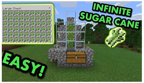 How To Build A Sugarcane Farm In Minecraft Bedrock