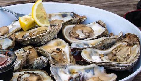 How To Cook Oysters Videos It’s Ok Housnia