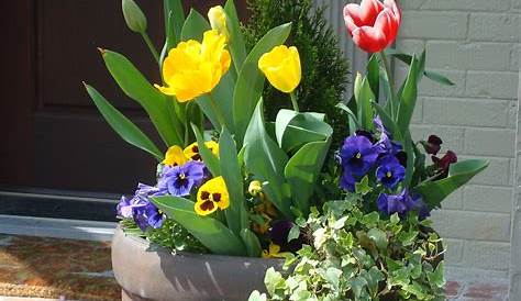How To Decorate Your Garden In Early Spring For House Selling