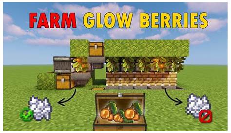 How To Farm Glow Berries In Minecraft Bedrock